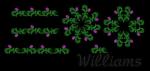 Williams design
