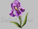 "Улюблені іриси"_1 Дизайн машинної вишивки