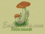 Дизайн машинної вишивки