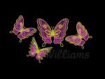 Williams designs