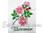 "Шипшина"_гладдю