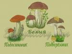 "Гриби великі"