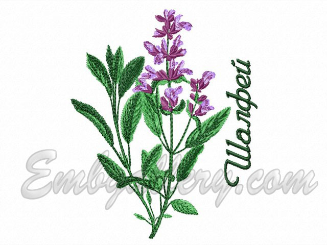 A041_1.jpg